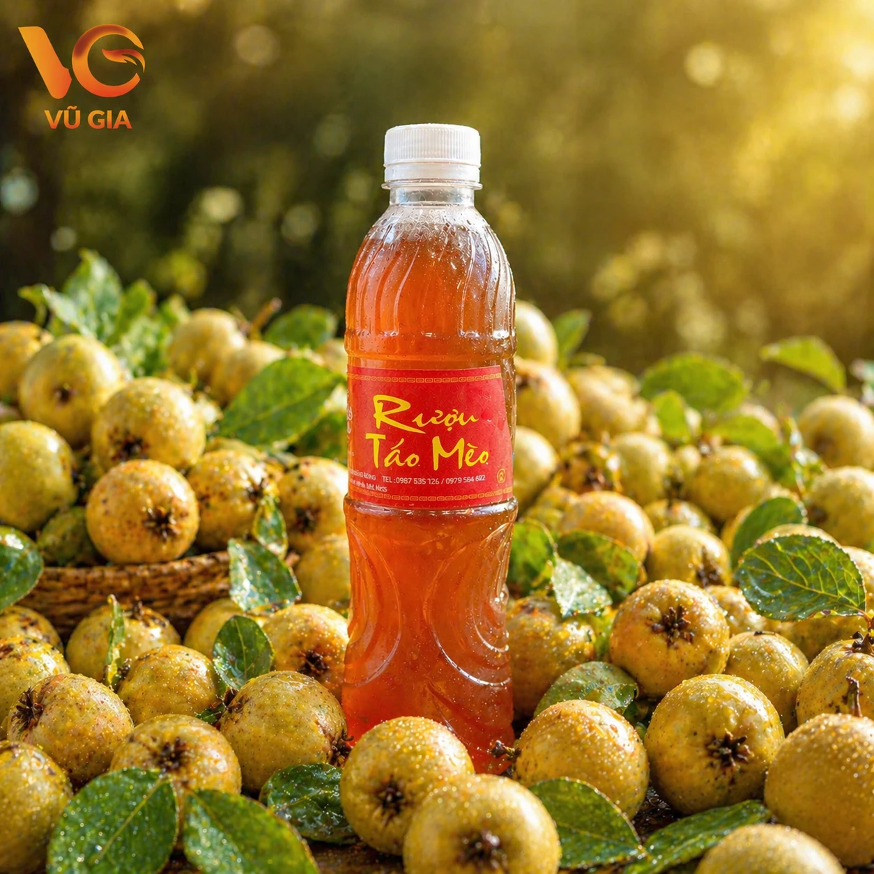 Rượu Táo Mèo